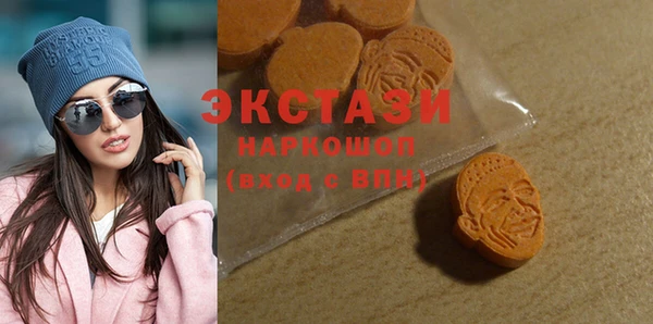 ECSTASY Богородицк